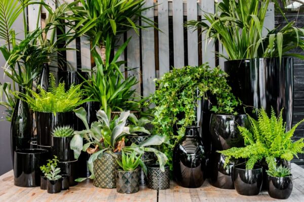 Lillepott Piano Ø20x h20cm silinder must