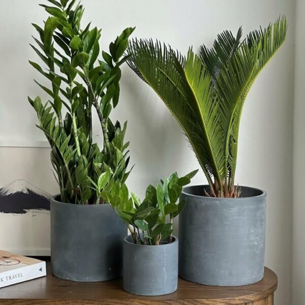 Lillepott Rustic Ø23x h22cm tumehall