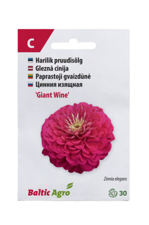 Pruudisõlg ‘Giant Wine’ 30s