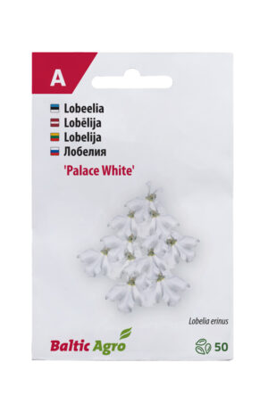 Lobeelia ‘White Palace’ 50 pilli