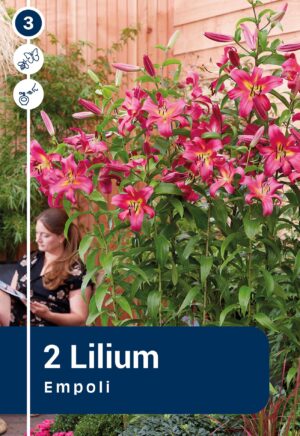 Puuliilia ‘Empoli’ 2tk