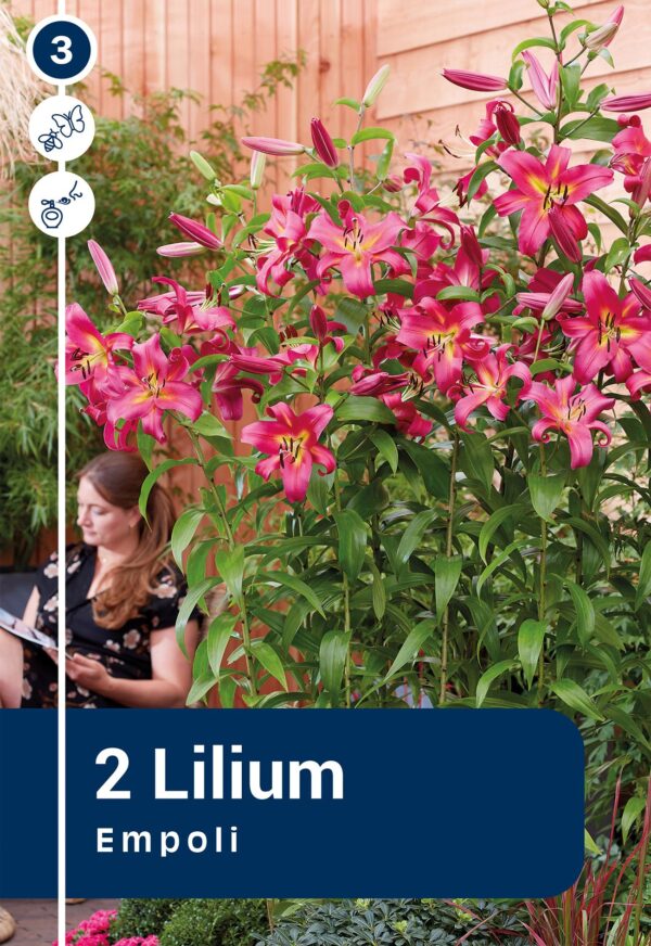 Puuliilia 'Empoli' 2tk