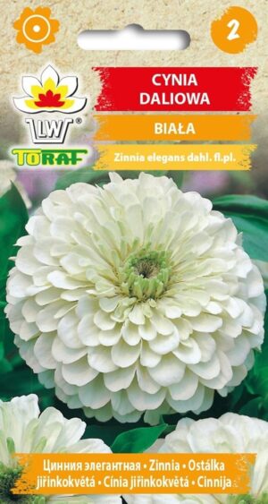 Pruudisõlg valge 1g