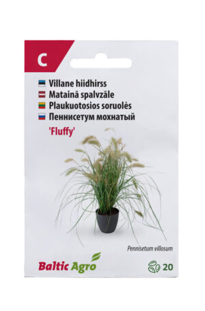 Villane hiidhirss ‘Fluffy’ 20s