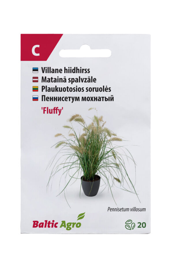 Villane hiidhirss 'Fluffy' 20s