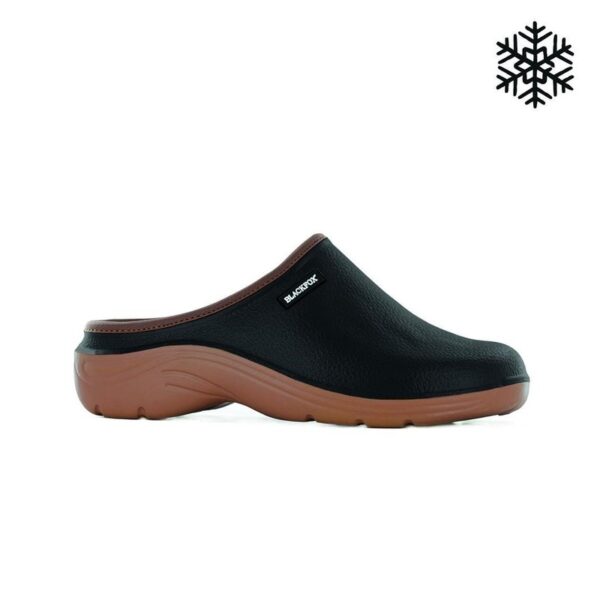 Aiaking karvaga Sherbrooke must 37