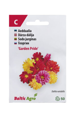 Daalia ‘Garden Pride’ 50s