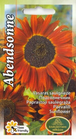 Päevalill ‘Abendsonne’ 1g