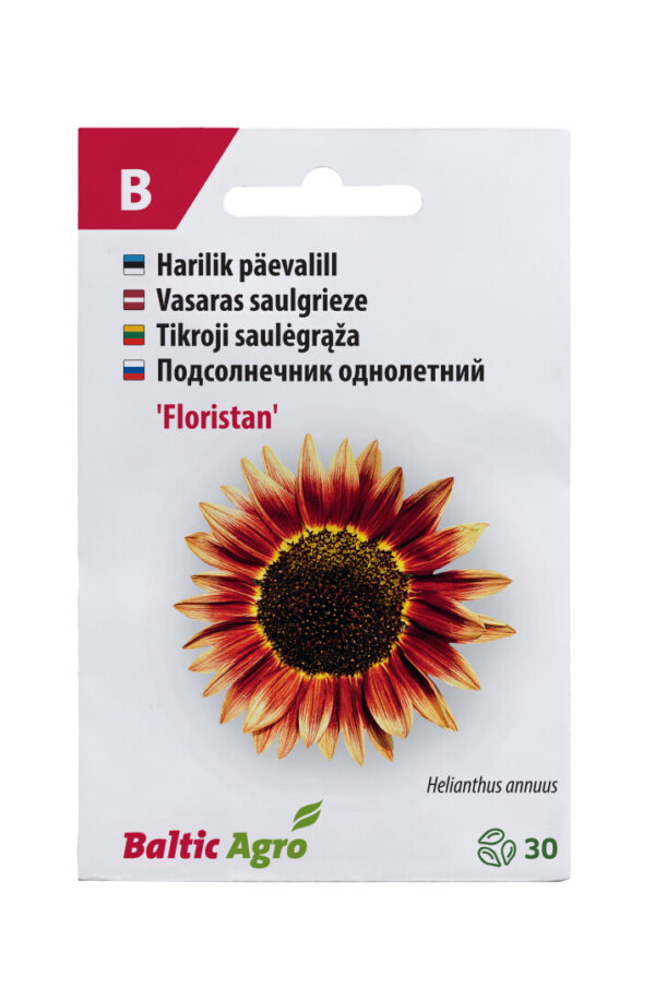 Päevalill 'Floristan' 30s