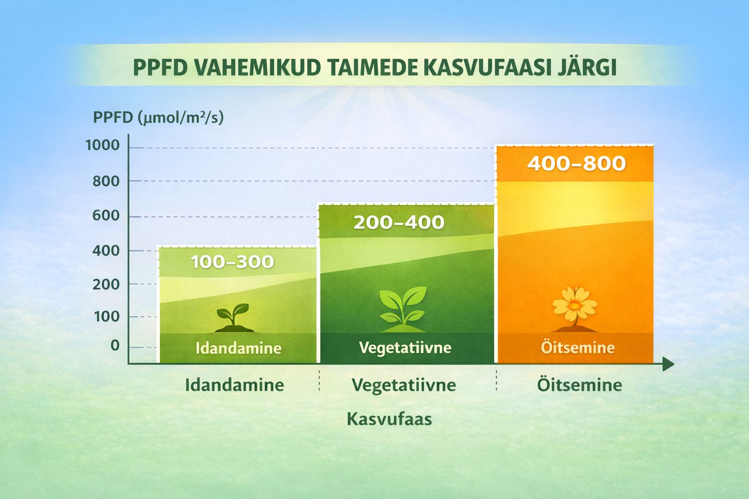 PPFD taime kasvufaaside järgi