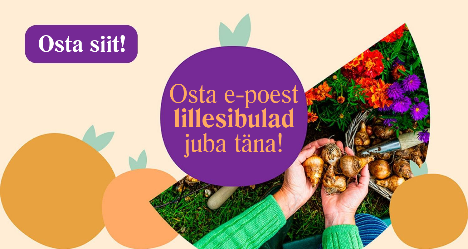 Osta lillesibulad e-poest juba täna!