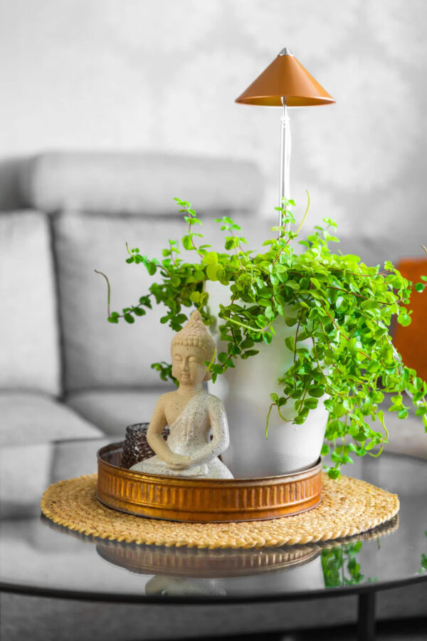 Taimelamp Sunlite 7W 120° vaskne