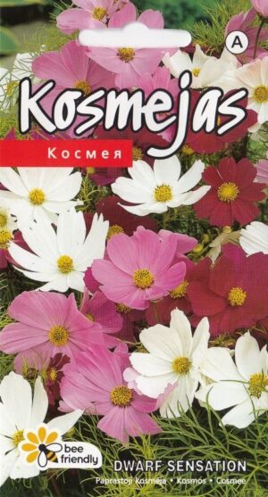 Kosmos segu ‘Dwarf Sensation’ 0,5g