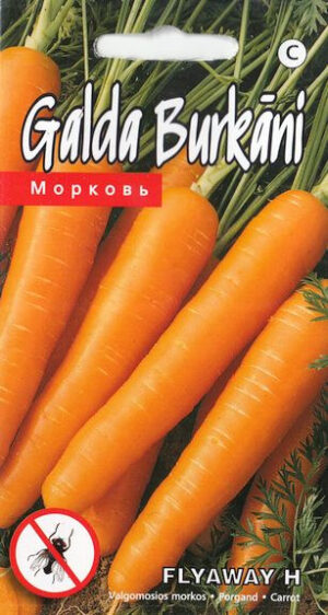 Porgand ‘Flyaway H’  0,3g