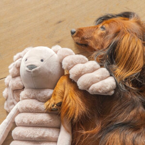 Mänguasi koerale jänes XL 62cm