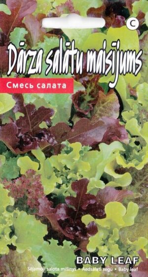 Salati seemnesegu Baby Leaf 2g