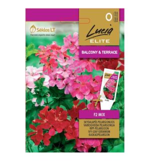 Viirpelargoon segu Ivy F2