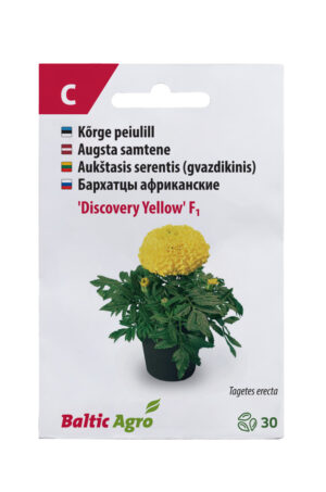 Peiulill ‘Discovery Yellow’ 30s