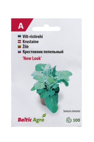 Vilt-ristirohi ‘New Look 100’ pilli