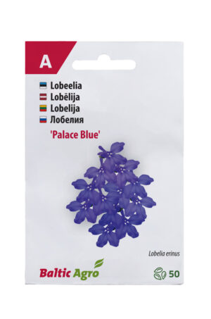 Lobeelia ‘Blue Palace’ 50 pilli