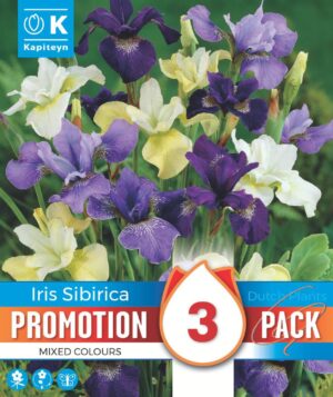 Siberi iiris erinevad 3tk