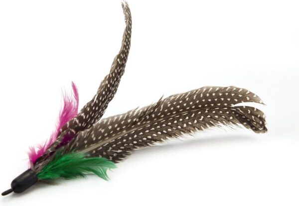 Varusuled kassi mänguõngele Twisty