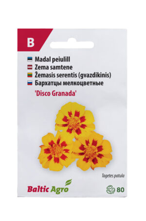 Peiulill ‘Disco Granada’ 80s