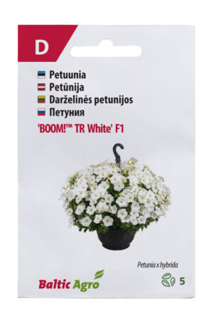Petuunia ‘BOOM! TR White’ F1 5s