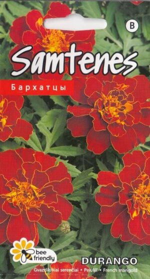 Peiulill ‘Durango’ 20s punane