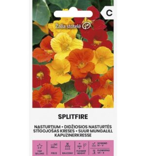 Suur mungalill ‘Splitfire’ 5g
