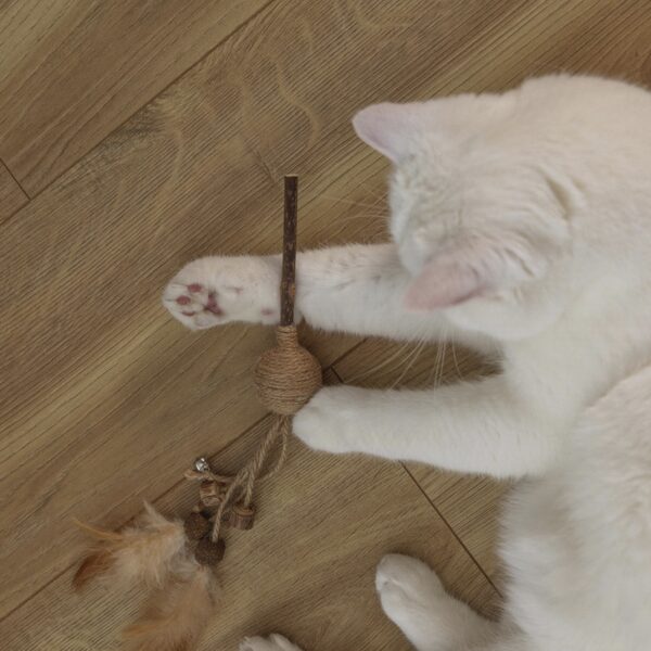 Mänguasi kassile Juto pall sulgedega 32cm