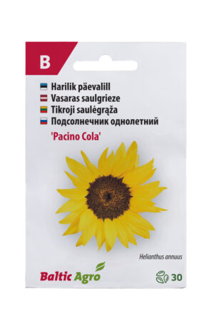 Päevalill ‘Pacino Cola’ 30s