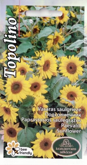 Päevalill ‘Topolino’