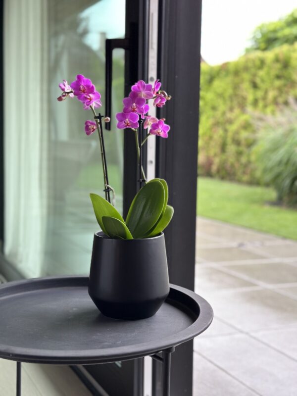 Lillepott Barcelona Ø15x h15cm must matt