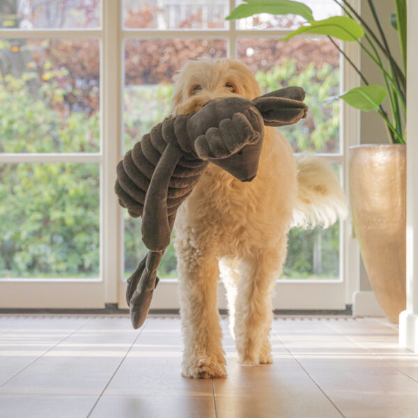 Mänguasi koerale hiir Reza XL 68cm