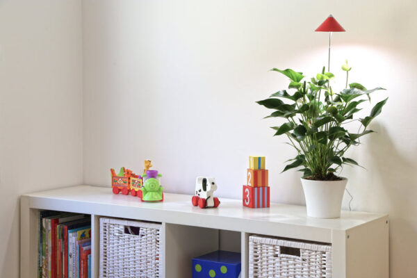 Taimelamp Sunlite 7W 120° punane