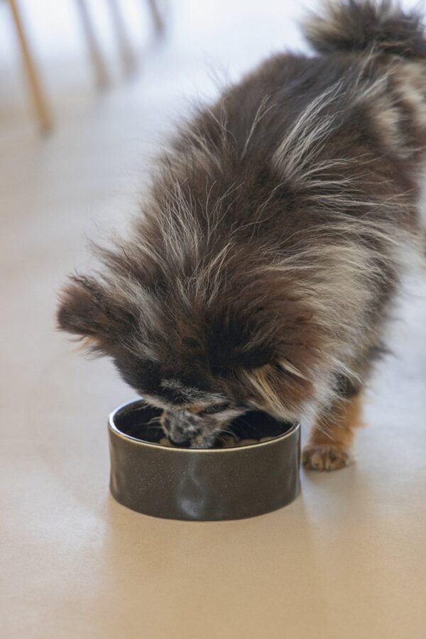 Sööginõu koerale Jace must Ø13,5x5cm 430ml