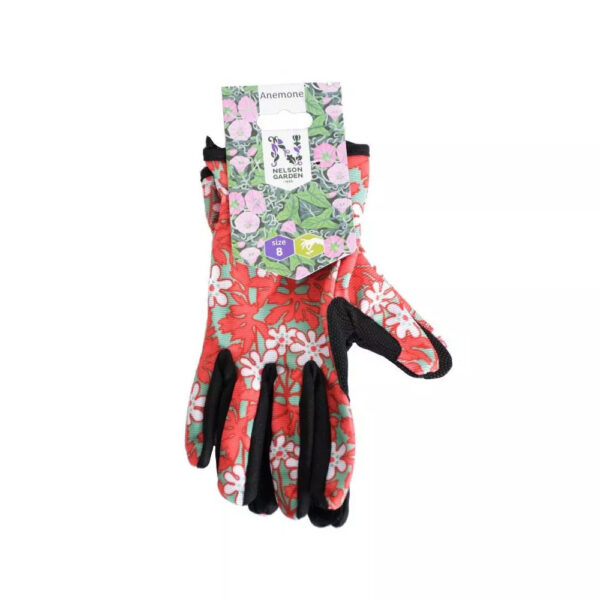 Nelson Garden aiakindad Anemone punane 8