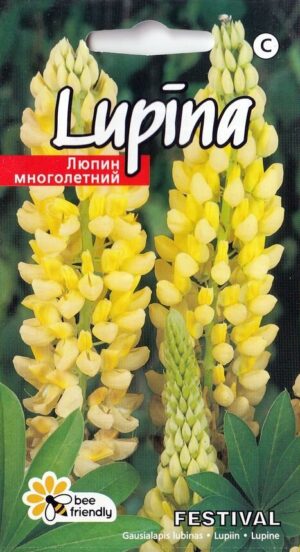 Lupiin Festival P1 2g