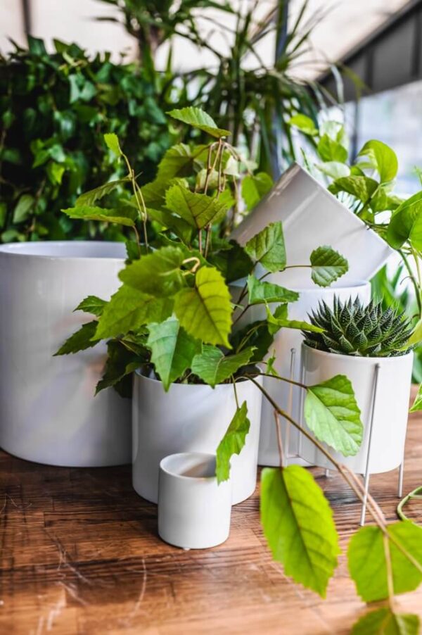 Lillepott Piano Ø26x h26cm silinder valge