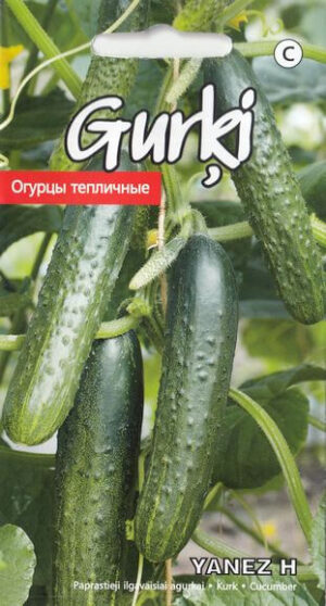 Kurk ‘Yanes H’ 0,2g