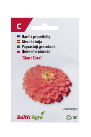 Pruudisõlg ‘Giant Coral’ 30s