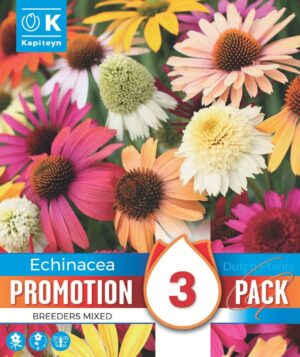 Siilkübarad erinevad 3tk