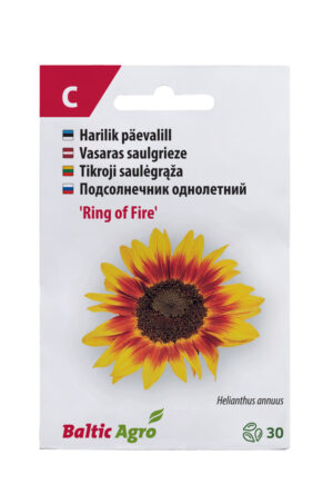 Päevalill ‘Ring of Fire’ 30s