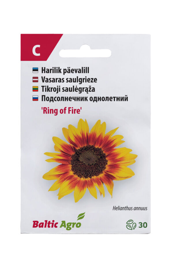 Päevalill 'Ring of Fire' 30s