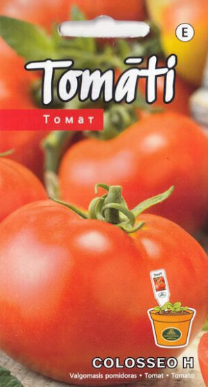 Tomat ‘Colosseo H’ 0,1g