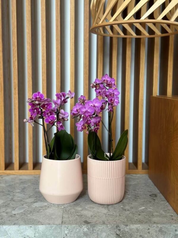 Lillepott Barcelona Ø15x h15cm roosa matt