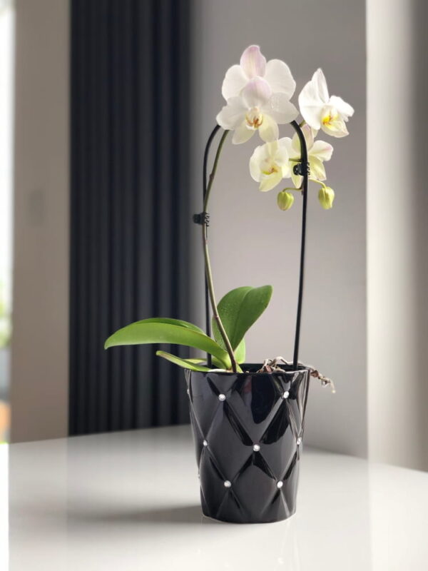 Orhideepott Moon Ø14x h15cm must