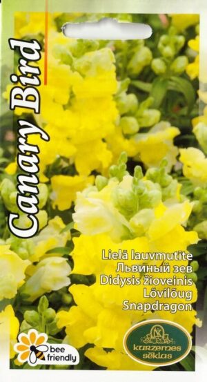 Lõvilõug ‘Canary Bird’ 0,2g kollane