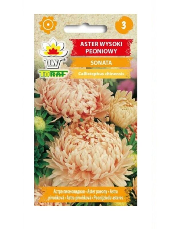 Pojengaster 'Sonata' 1g